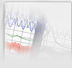 PERSONAL POLYGRAPHS