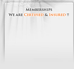 ABOUT CIFP